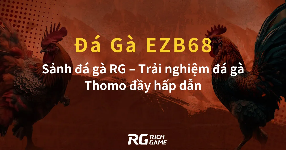 Đá Gà EZB68: Sảnh đá gà RG – Trải nghiệm đá gà Thomo đầy hấp dẫn