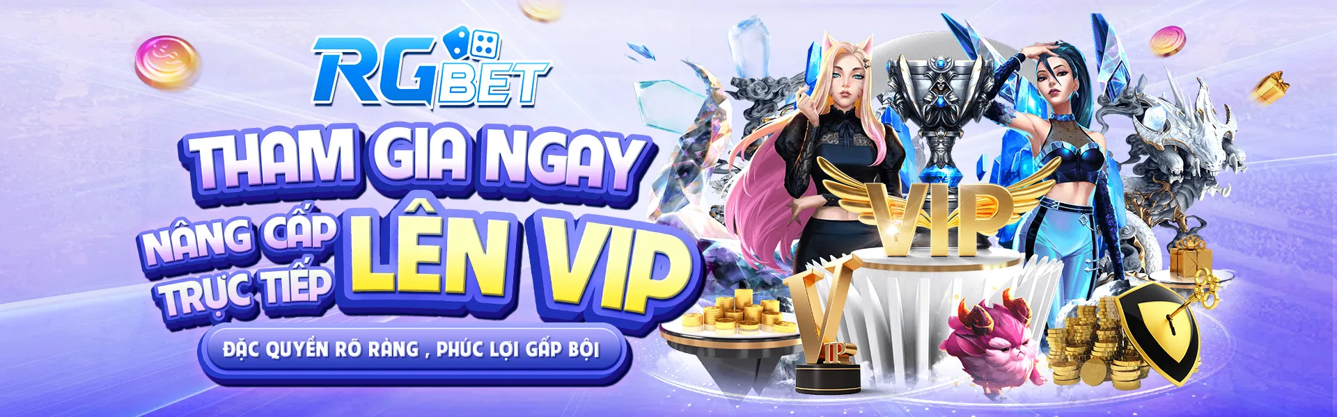 CHẾ ĐỘ ĐẶC QUYỀN VIP RG